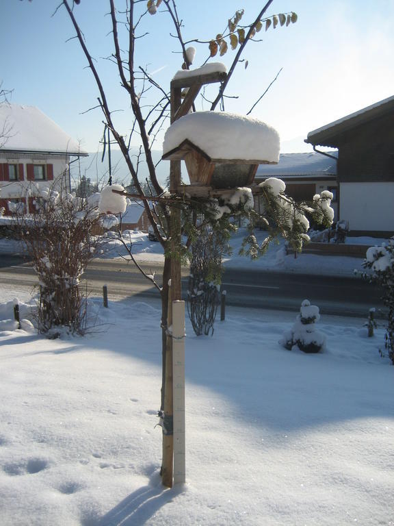 Ferienhaus Troy Doren Εξωτερικό φωτογραφία